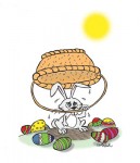 Hot weather tips