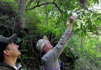 The wonders of El Carrizal:  Birds, berries, beautiful mushrooms  along a lush, pretty, jungle-like trail