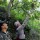 The wonders of El Carrizal:  Birds, berries, beautiful mushrooms  along a lush, pretty, jungle-like trail