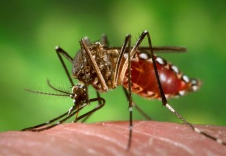2nd case of Zika reported in Jalisco